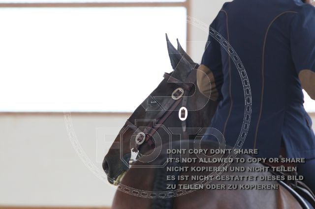 s_IMG_0149.JPG